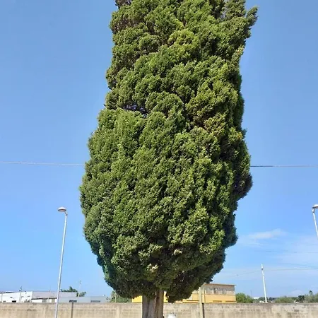 L'albero Bed & Breakfast *
